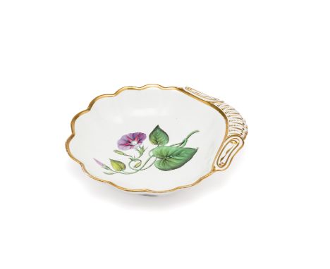 A SPODE BOTANICAL DISH, CIRCA 1820 shell shaped, painted with a titled specimen 'Purple Bindweed' inside gilt rims, red paint