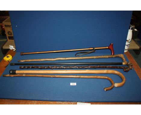 A quantity of walking sticks including knobbly stick, dogs head stick, plus four others.