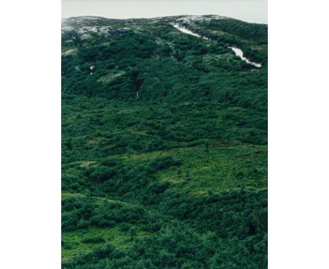 Hütte, AxelEssen, geboren 195130,5 x 24 cm, R."Furka/Realp", 1997. C-Print auf Fotopapier. In Faserstift rückseitig signiert,