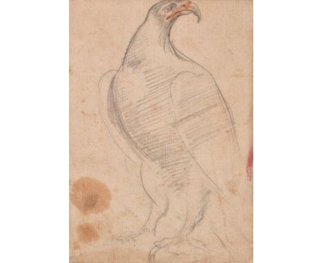 Continental School (circa 1700)   Study of an eagle; Red chalk study of hands (verso)   Graphite and red chalk   With Collect