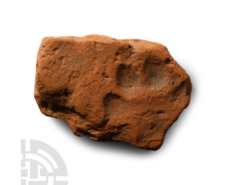 1st-4th century A.D.. Fragment of flat-section tegula roof tile, with impressed paw-print from a dog walking on the tile whil
