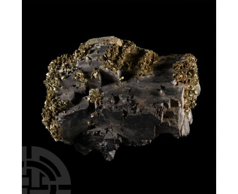 A large specimen displaying good crystals of spear-shaped marcasite and cubic galena formations, collection number 453, with 