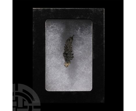 Displaying dendritic formation, collection number 554.  1.15 grams, 30 mm (1 1/4 in.). Acquired on the UK mineral and fossil 