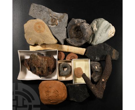 Mainly Jurassic Period, circa 201-145 million years B.P.. An interesting mixed group comprising ammonites, a rib, an antler, 