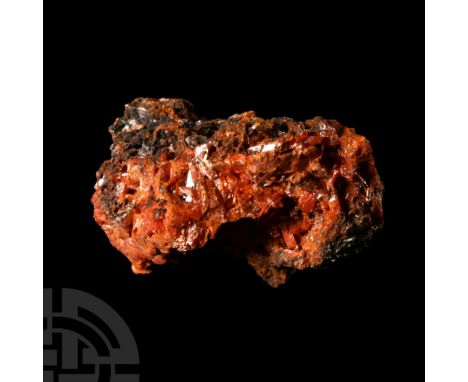 Displaying vivid orange-red, deep blood-red and brick-red colours, collection number 204, with an old Gregory, Bottley &amp; 