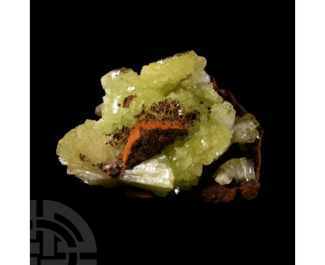 With pale greenish yellow and white crystals, collection number 593.  57.8 grams, 53 mm (2 in.). Acquired on the UK mineral a
