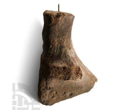 Devensian Period, 110,000-12,000 years B.P.. Fragment of the pelvis with socket; drilled and provided with a rod for mounting