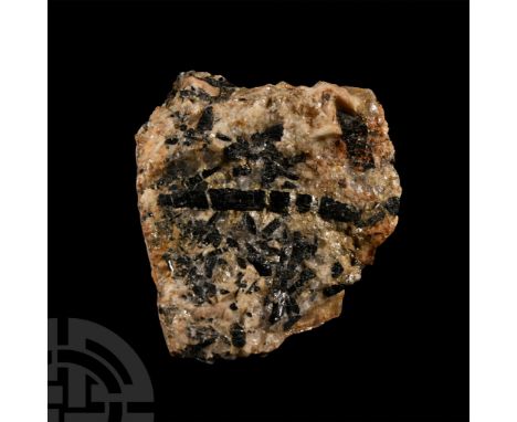 Black variety of tourmaline embedded in mica rich matrix, collection number 100.  201 grams, 72 mm (2 7/8 in.). Acquired on t