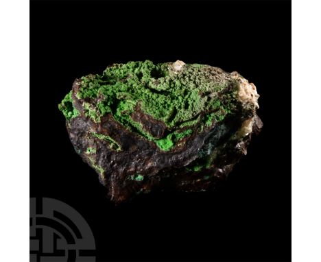 Displaying lime green conichalcite on a matrix containing some cuprite, calcite and patches of darker green malachite, collec