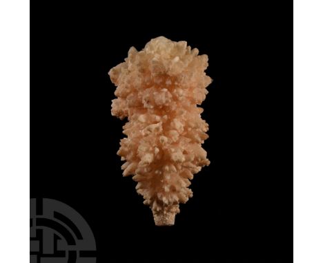 With pinkish-white and creamy white crystals in interlacing and coalescing stems, collection number 175.  160 grams, 94 mm (3