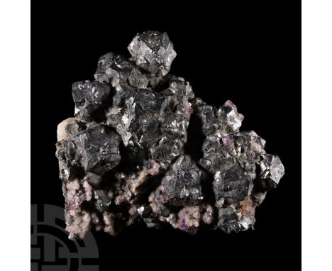 Beautiful specimen displaying lead-grey galena crystals with a coating of fine purple cubic fluorite, collection number 542; 