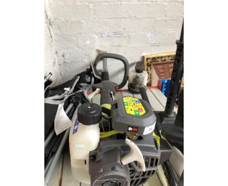 A Ryobi long reach chainsaw 