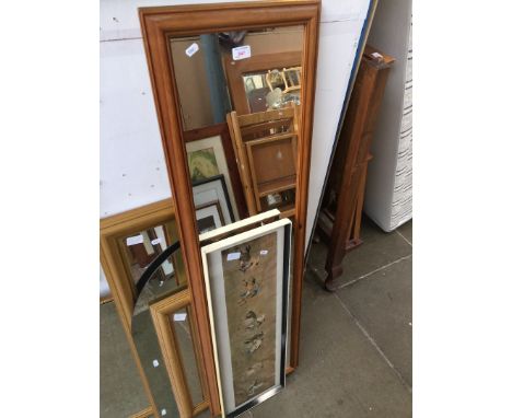 Print and various mirrors 