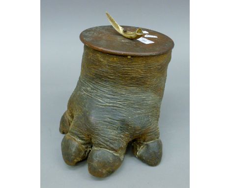 A late 19th/early 20th century taxidermy specimen of a preserved hippopotamus foot box. 23.5 cm high.