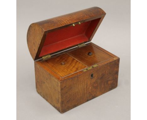 A walnut twin compartment tea caddy with domed lid. 20 cm wide.
