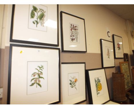 A SET OF EIGHT MODERN FRAMED BOTANICAL STYLE PRINTS (8)