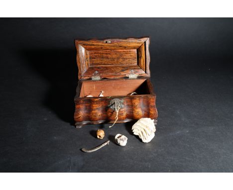 From the Collection of Admiral Grindall, an Able Seaman aboard Captain Cookâ€™s Resolution during his second circumnavigation
