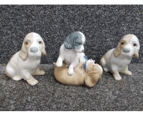 A Nao puppy group and two puppies by Valencia.