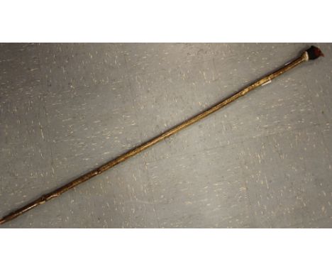 Pheasant head walking stick