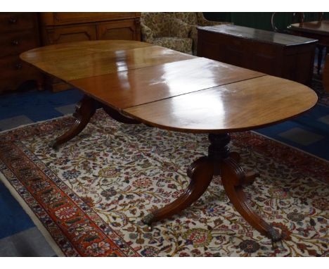 A 19th Century Mahogany Oval Top Dining Table on Reeded Tripod D Ends with Brass Claw Casters. Two Extra Leaves. 230cms When 