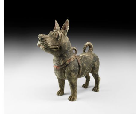 Han Dynasty, 206 BC-220 AD. A ceramic figure of a dog standing with looped tail, collar and harness with ring. [A video of th