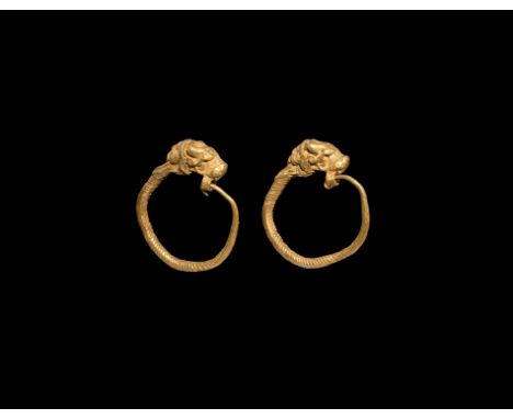 4th century BC. A matched pair of gold earrings, each a hoop with twisted shank, finial a hollow-formed lion's head with secu