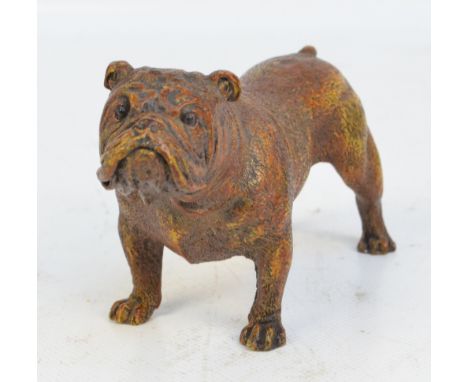 A cold painted bronze figure of a bulldog standing four square, with applied roundel inscribed 'Geschutzt', length 13cm.   CO