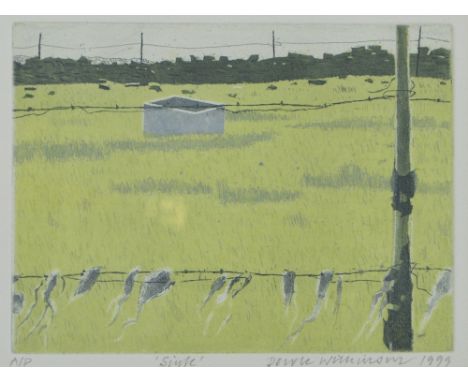 DEREK WILKINSON (1929-2001); an artist's proof coloured print, 'Sink', dated 1999, 16 x 22cm, framed and glazed (D).   CONDIT