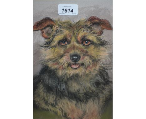 Marjorie Cox, signed pastel, portrait of a dog, 14ins x 10.5ins