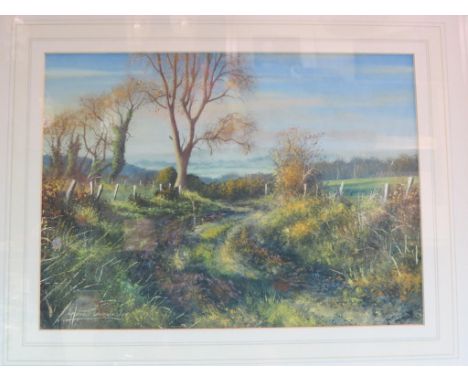 Andrew Dandridge - pair of Sussex gouache paintings, Beneath Rockham Hill, Evening Light on the South Downs Way, signed, 11 x