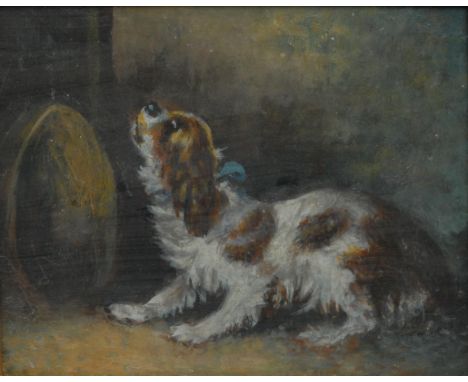 Interior Decoration - a furnishing picture, King Charles Spaniel, print, decorative gilt frame, 44cm x 47cm overall 