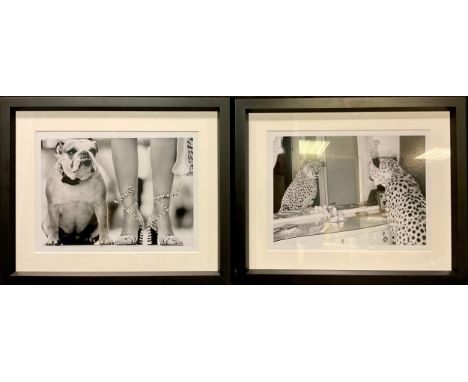 William Stafford, Close-up Ready, contemporary black and white photographic print, 29cm x 40cm, framed; another, The Faithful