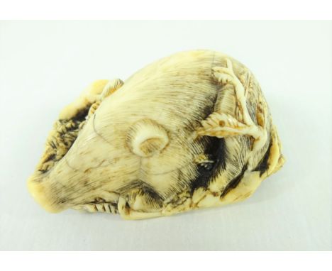 19th/ early 20th Century ivory Netsuke carved as a boar on a bed of leaves, in the style of Masanao L5.5cm  Condition Report 