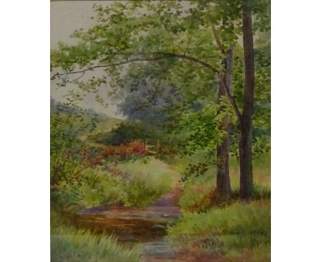 Rural Woodland with Footpath, 20th century watercolour signed by M Parker 27cm x 23cm    Condition Report   Click here for fu