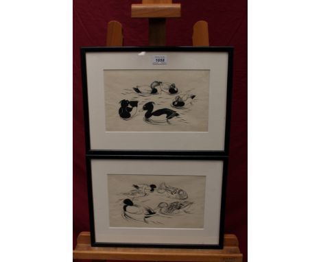 Vere Lucy-Temple (1898 - ?), two pen and ink illustrations - Wildfowl, in glazed frames, 17cm x 28cm