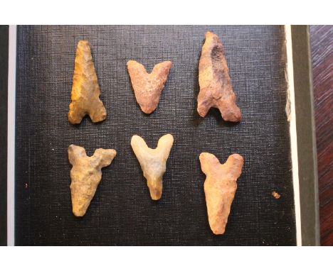 Collection of 6 Neolithic Arrowheads 5000 to 7000 Years Old from the Sahara North Africa 