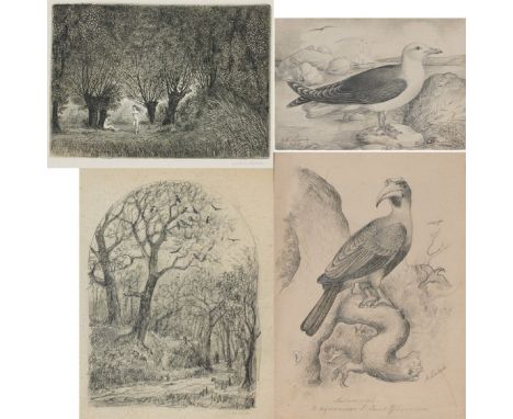 Arthur LiebschLeipzig 1851 - 1931 Konvolut - Möve/Eisvogel - Doppelseitige Zeichnung Bleistift/Papier. 11,3 x 16,3 cm. Sign. 
