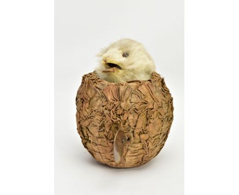 A LATE 19TH / EARLY 20TH CENTURY MUSICAL AUTOMATON IN THE FORM OF A RABBIT IN A CABBAGE OR LETTUCE, in the manner of Roullet 