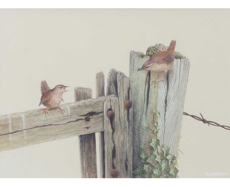 D* A* Turnbull (20th Century)Birds on a fenceSigned, watercolour heightened with white, together with Mick Ewins (20th Centur