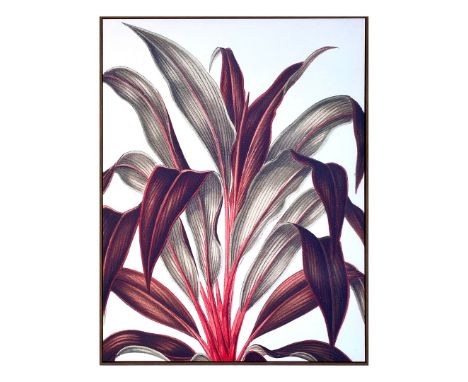 A BOTANICAL PRINT ON CANVAS. framed, 120cm H x 100cm W.