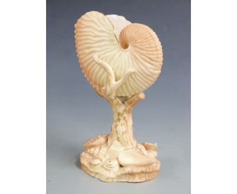 Royal Worcester blush ivory pedestal nautilus shell vase, H17cm