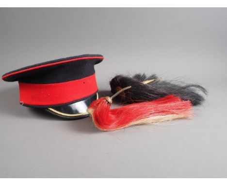 Two military helmet plumes and a military cap 