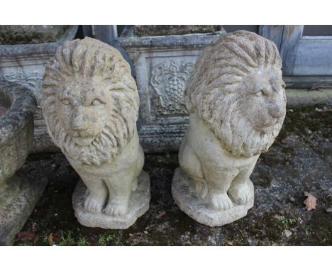 A pair of cast stone model lions, 20" high