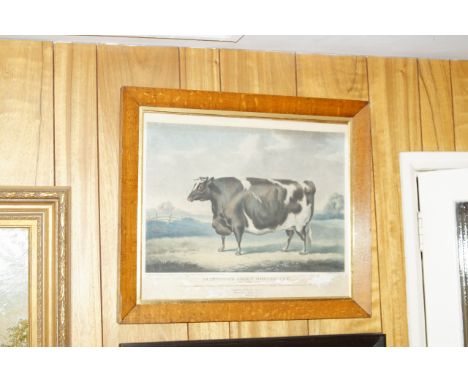 By & After William Henry Davis.  An Improved Short-Horned Cow, coloured lithograph, circa 1836, 44cm x 52cm. and After J. Bur