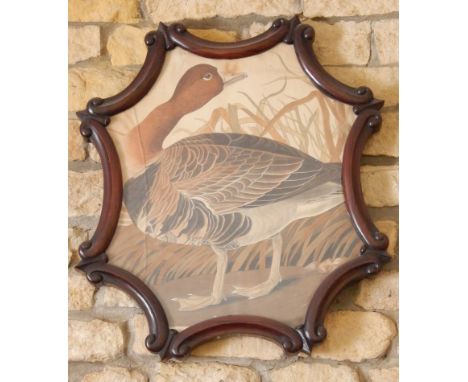 A Victorian rosewood screen, with central panel having a lithograph of a duck, 55cm high.