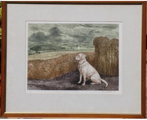 Norman Webster (b.1924).  A dog in landscape, Oswaldkirk Yorkshire, artist signed coloured etching 10/30, dated 1977, 30.5cm 
