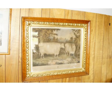After H Strafford.  'The Castle Howard Oxen', lithograph by J.W. Giles, circa 1840, 53cm x 70cm.
