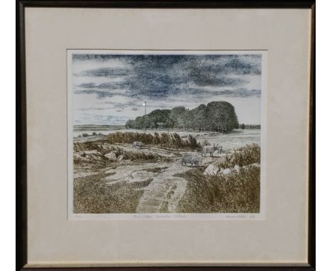 Norman Webster (b.1924).  Bush Cottage, Rickarton, Scotland, artist signed coloured etching 8/50, dated 1978, 33.5cm x 39cm.