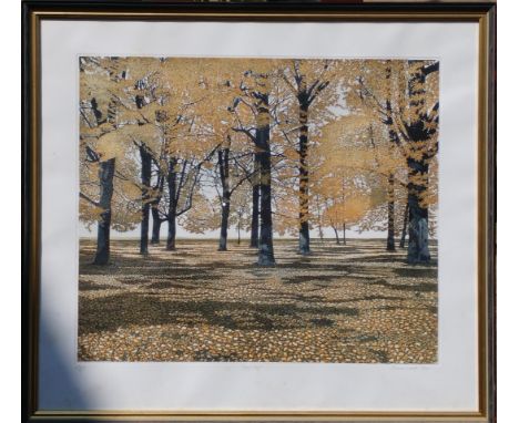 Greenwood (20thC).  Leaf fall, artist signed coloured etching 27/250, dated (19)79, 44cm x 51.5cm.