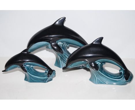 Three graduating Poole dolphins (Largest 29cm length)